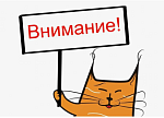 Дорожные работы - уберите автомобили!
